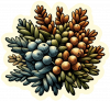 Enebro 01