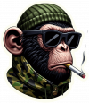 Chimpance01