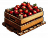 Ciruela 03