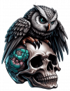 Calavera Y Buho 06