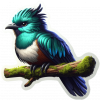 Quetzal 01