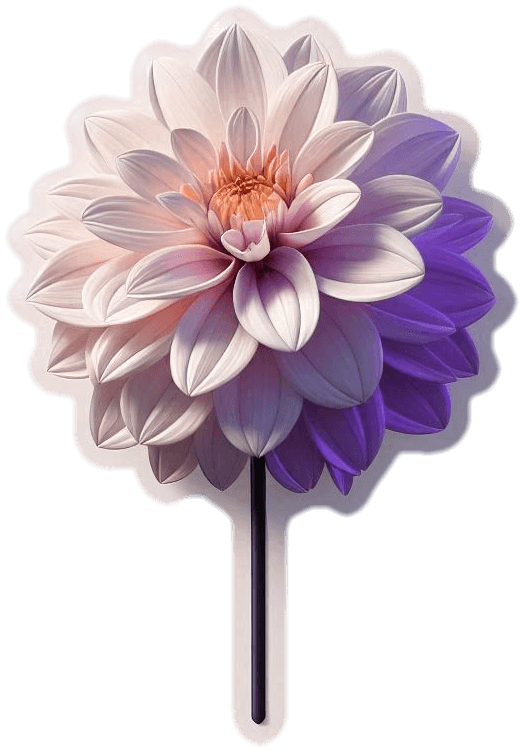 Dalia 02