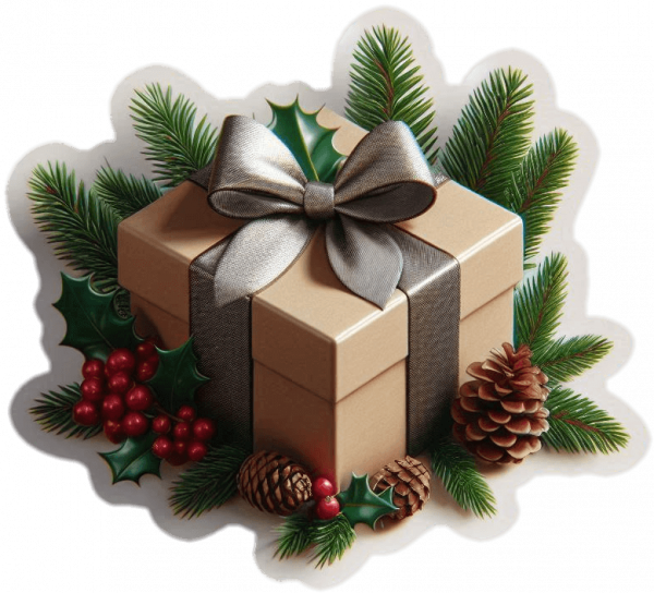 Regalo De Navidad 02