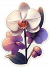 Flor De Orquídea 04