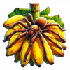 Araña Bananera 04
