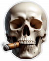 Craneo Fumando 04
