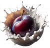 Fruta De Ciruela En Crema 04