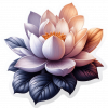 Flor De Loto 01