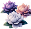 Flor De Loto 02