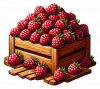 Fruta De Frambuesa 01
