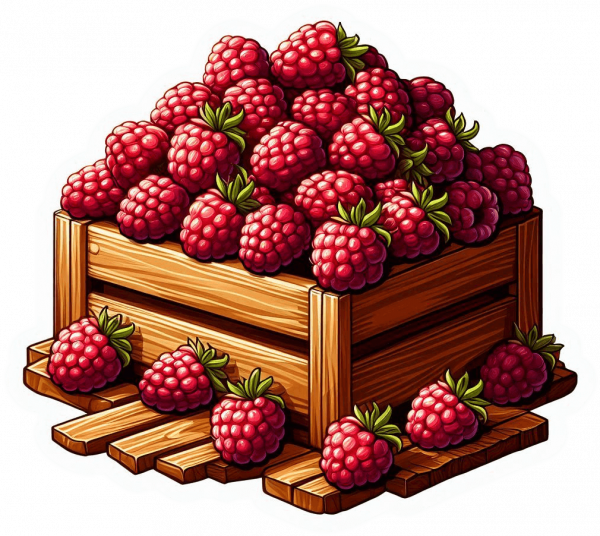 Fruta De Frambuesa 01
