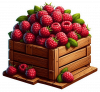 Fruta De Frambuesa 02
