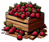 Fruta De Frambuesa 04
