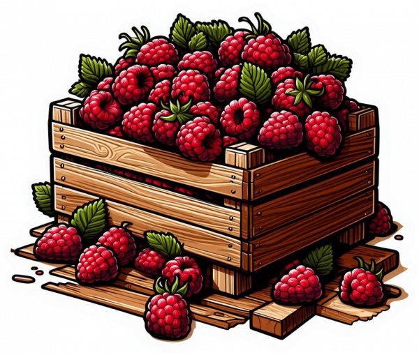 Fruta De Frambuesa 04