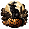Gato Negro En Halloween 01