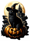 Gato Negro En Halloween 02