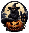Gato Negro En Halloween 03