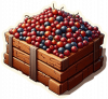 Fruta De Grosella 01