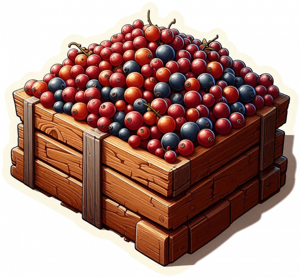 Fruta De Grosella 01