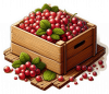 Fruta De Grosella 02