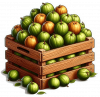 Fruta De Guayaba 01
