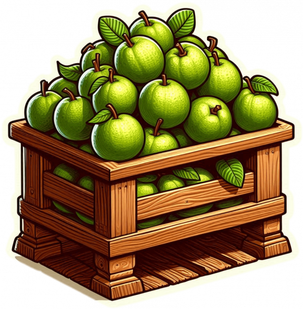 Fruta De Guayaba 02