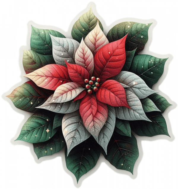 Ramo De Poinsettias 05