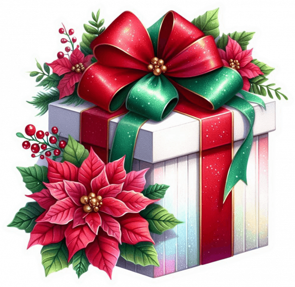 Regalo Navideño 06
