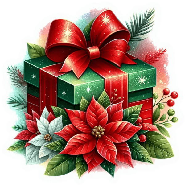 Regalo Navideño 13