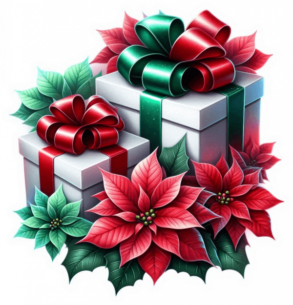 Regalo Navideño 22