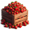 Fruta De Fresa 02