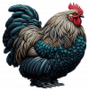 Gallina Brahma 02