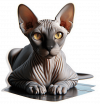 Gato Esfinge 02