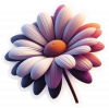 Flor Margaritas 01