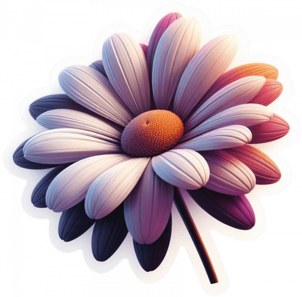 Flor Margaritas 01