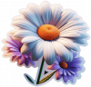 Flor Margaritas 02