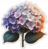 Flor Hortensias 03