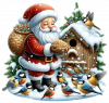 Santa Clous Con Aves 01