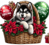 Perro Malamute De Alaska En Cesta Y Feliz Navidad