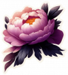 Flor De Peonia 06