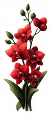 Flor De Orquideas Rojas 03