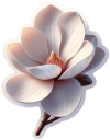 Flor De Magnolia 05