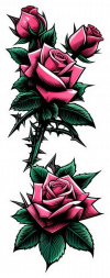 Flor De Rosas Rosadas 05
