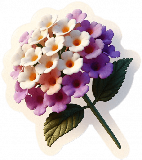 Flor De Lantanas 03