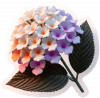 Flor De Lantanas 04