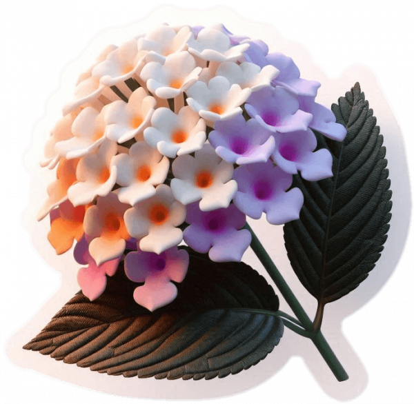 Flor De Lantanas 04
