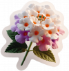 Flor De Lantanas 06