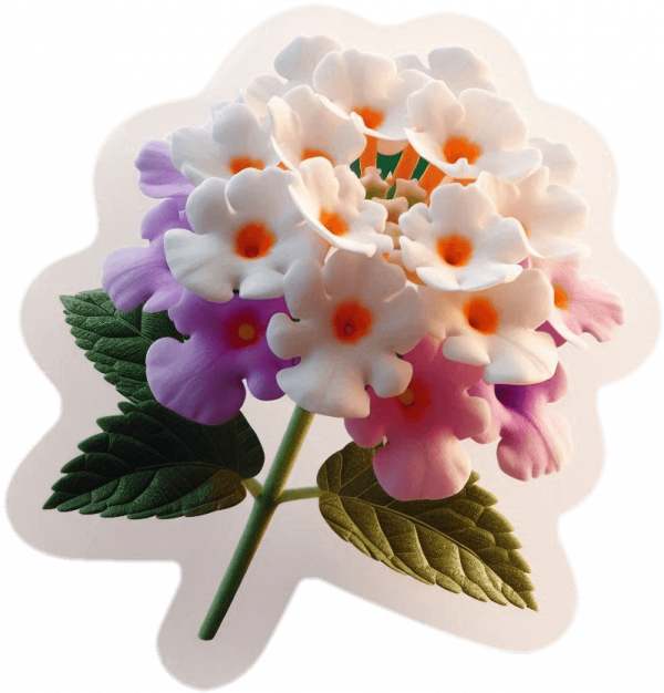 Flor De Lantanas 06