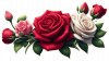 Flor De Rosas Blancas Rojas Rosadas 02
