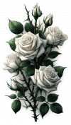 Flor De Rosas Amarillas 08